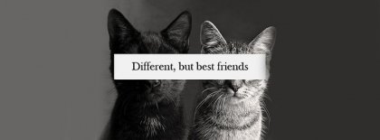 Different But Best Friends Facebook Covers